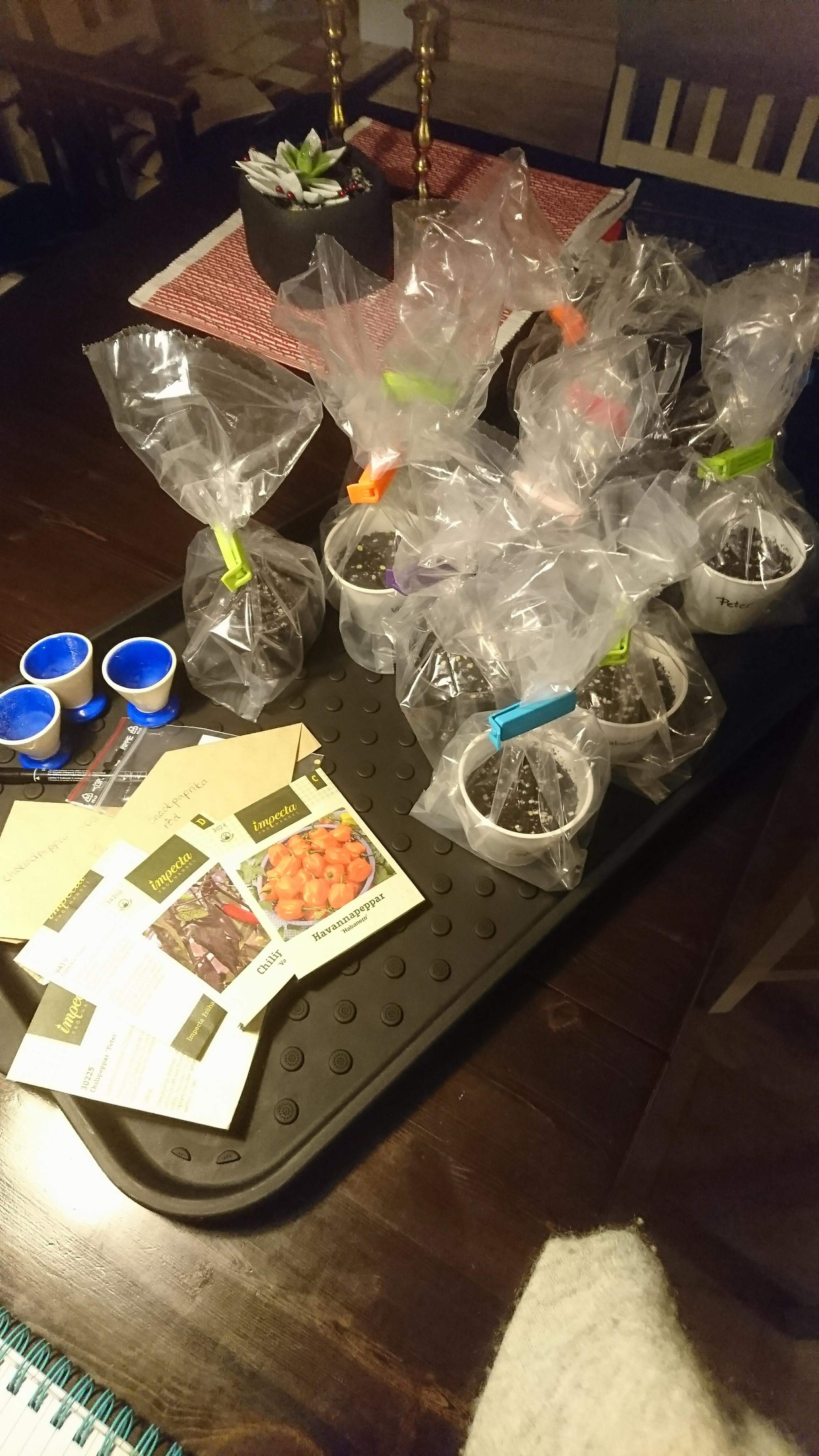 received_10156132184362072